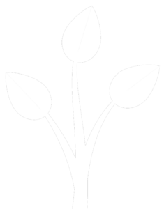 C4CF5039_Bequests_Lung_Tree_3 cut to size
