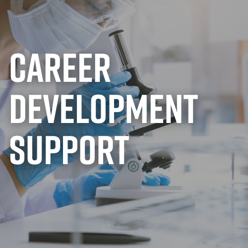 career support