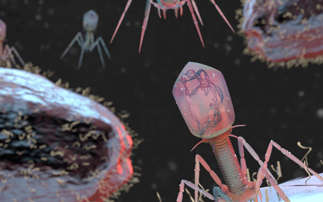 A Decade of Change: How Bacteriophage Research Is Making a Difference for People with CF