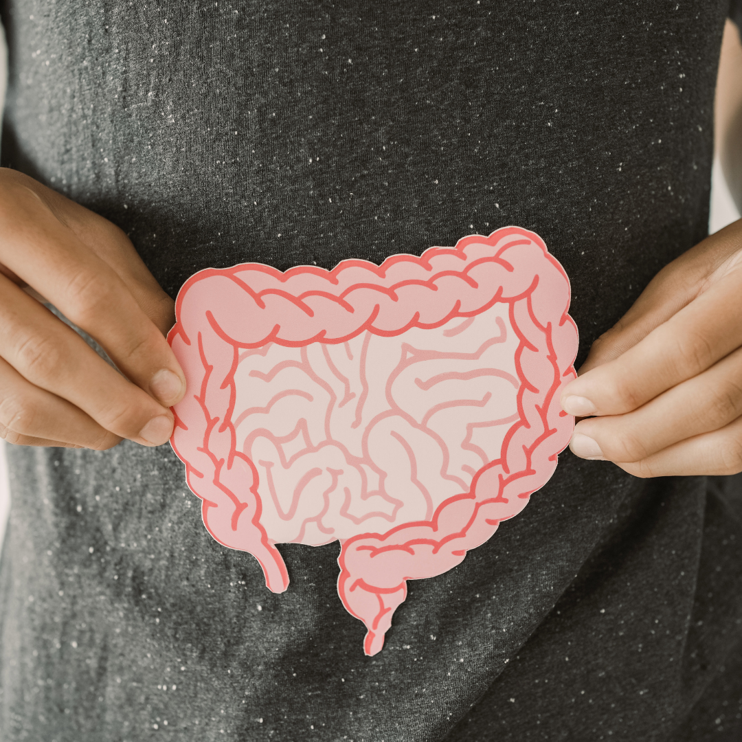 Gut health in cystic fibrosis