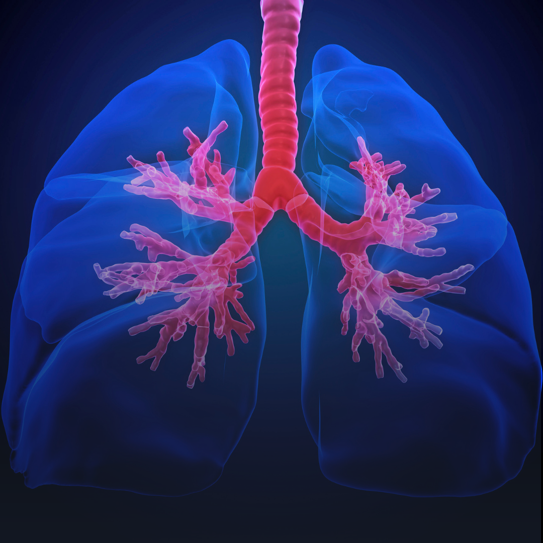 GLP-1 Cystic Fibrosis